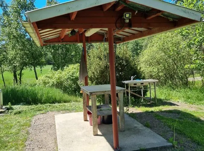 Saaristotila Jackois * Inio